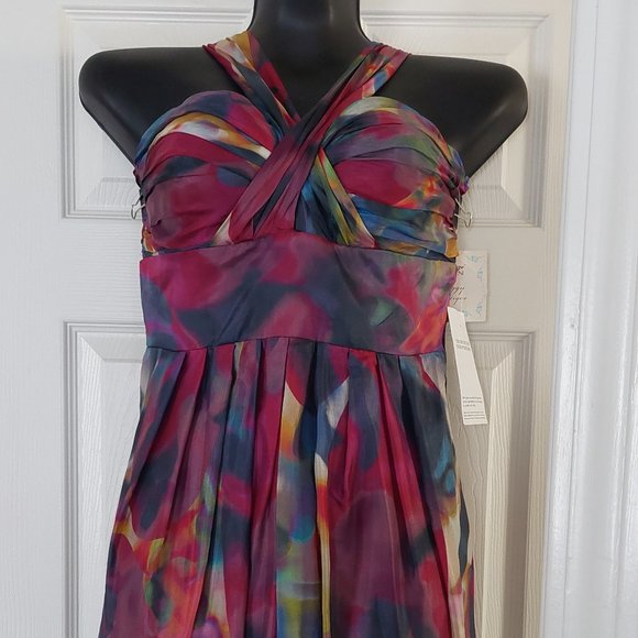<<NWT>> 100% Silk Dress - Suzy Chin for Maggy Boutique (size 6) - Picture 1 of 9